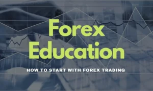 Forex Trading Courses: A Path to Mastering the Forex Market
