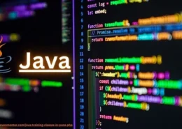 Why we use Java?