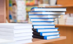 Navigating the Publishing Maze: Tips for Aspiring Authors