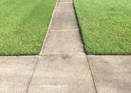 Looking for a gentle and effective cleaning solution for your home in Baton Rouge? Try Superior Soft wash Solutions for all your exterior cleaning needs! Have you used their services before?