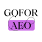 GoforAEO | Digital Marketing Agency
