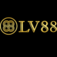 lv88nyccom01