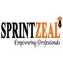 Sprintzeal222