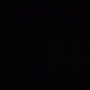 Night Elite