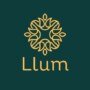 Llum