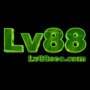 lv88seocomz
