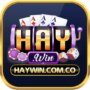 Haywin