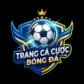 Trang Cá Cược Bóng Đá