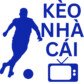 keonhacaitviooo