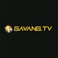 gavangtvllc2