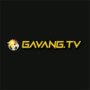 gavangtvllc2
