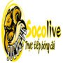 socolivesorg2