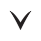 Vishal Rajput