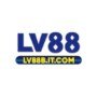 LV88....